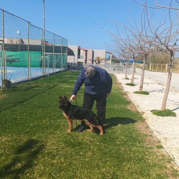 Xandy Von Chanialand